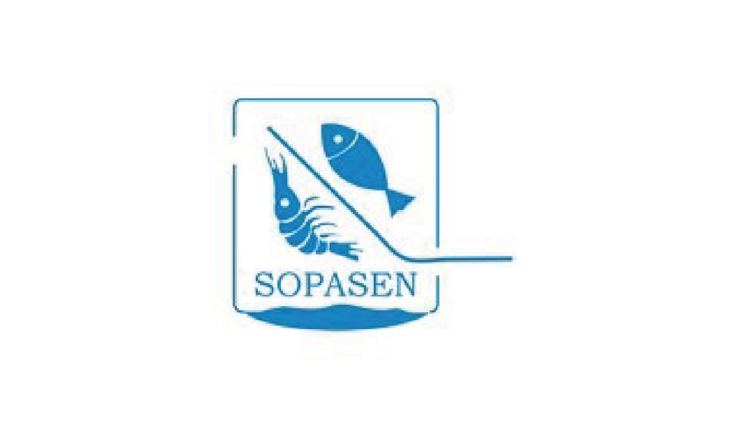 partenaire (41)